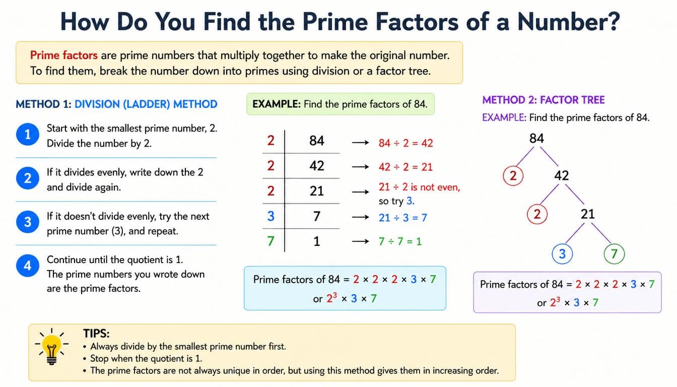 How Do You Find the Prime Factors of a Number?