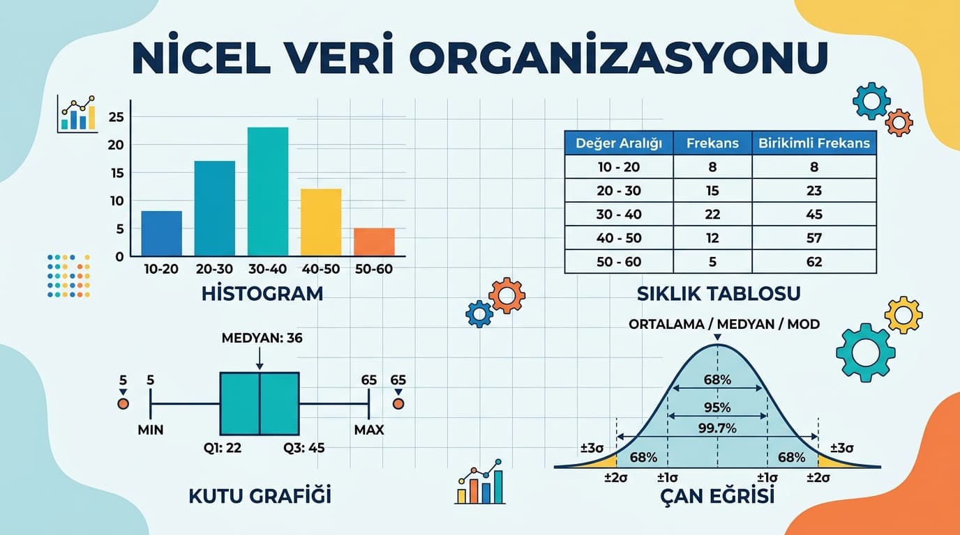 Veri Düzenleme Nasıl Yapılır?